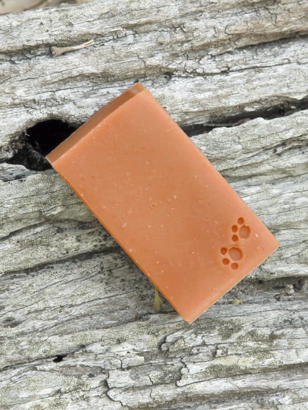 natural dog wash, Nourish naturally, salty dog, beach dog, dirty dog