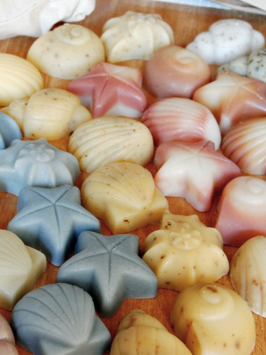 handmade gift soap, seashell soap, Nourish Naturally, handmade soap gift pack